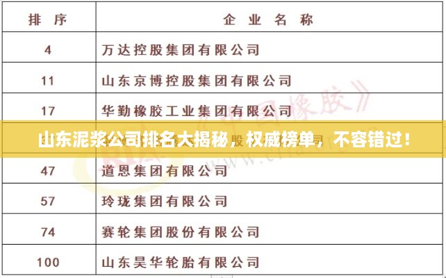 山东泥浆公司排名大揭秘，权威榜单，不容错过！