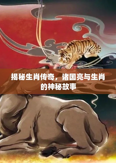 揭秘生肖传奇，诸国亮与生肖的神秘故事