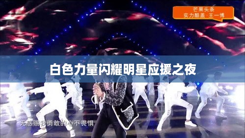 白色力量闪耀明星应援之夜