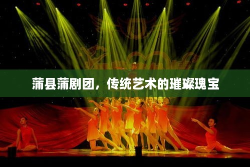 免责声明 第5页