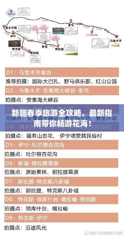 新疆春季旅游全攻略，最新指南带你畅游花海！