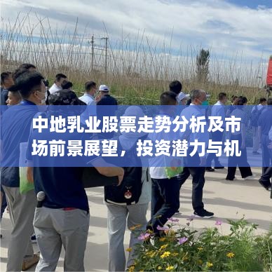 中地乳业股票走势分析及市场前景展望，投资潜力与机遇探索