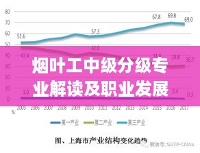 烟叶工中级分级专业解读及职业发展路径探讨
