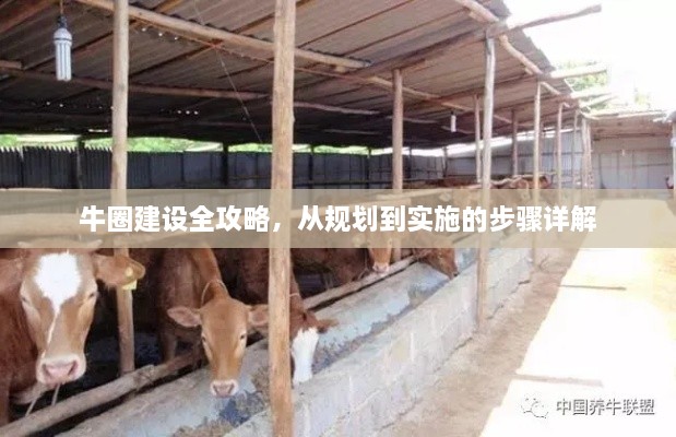 牛圈建设全攻略，从规划到实施的步骤详解