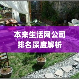 本来生活网公司排名深度解析