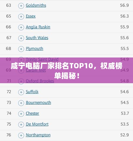 咸宁电脑厂家排名TOP10，权威榜单揭秘！