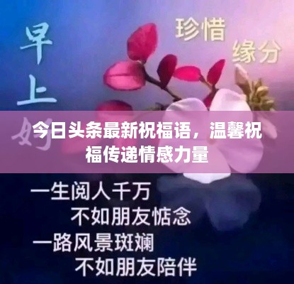 2025年5月15日